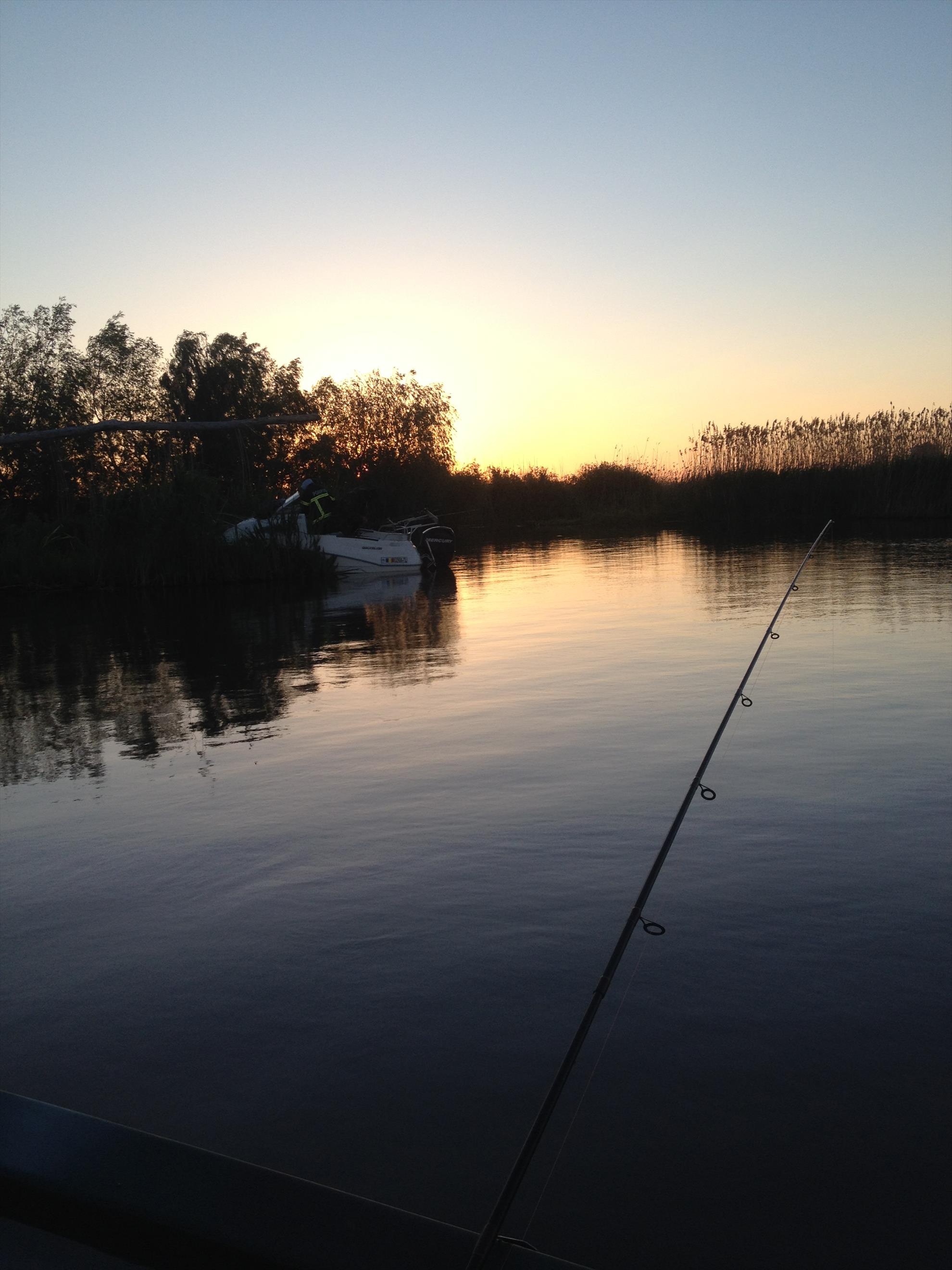 Delta Dunarii - img1128.JPG